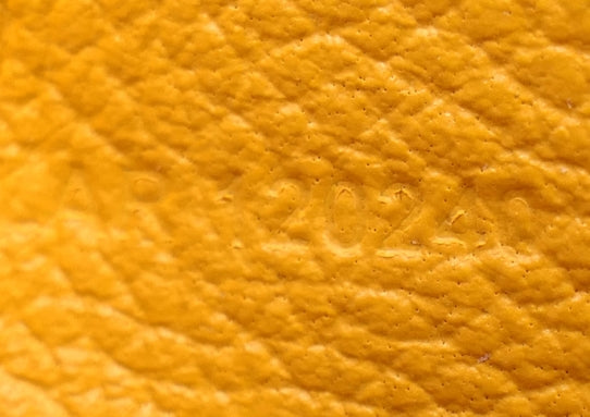 Goyard Saigon Souple Mini in Yellow