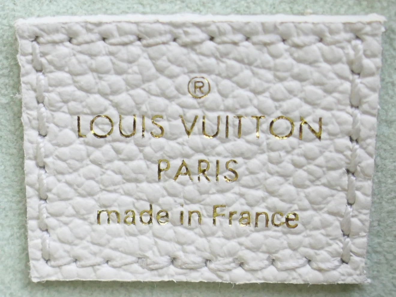 Louis Vuitton Nano Speedy Empriente in Giant Monogram