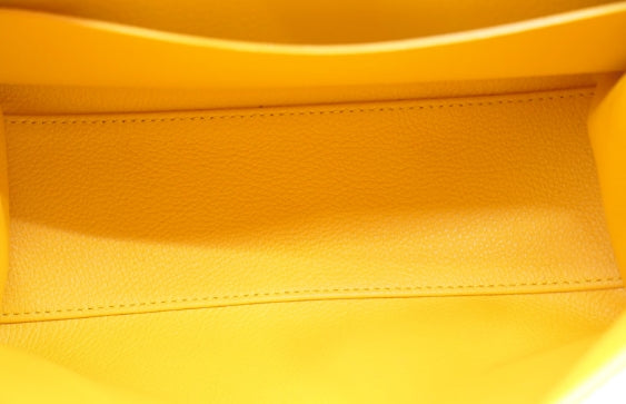Goyard Saigon Souple Mini in Yellow